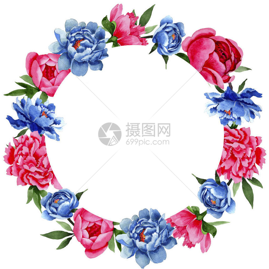 水彩风格的野花和蓝色牡丹花环图片