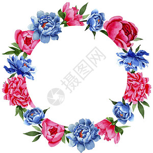 月桂树水彩风格的野花和蓝色牡丹花环设计图片