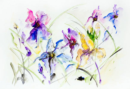 抽象花卉水彩艺术画背景鸢尾花背景图片