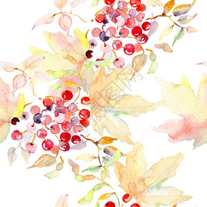 秋天森林果实的布束图片