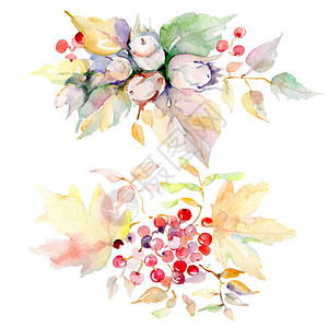 秋天的森林水果花束孤立的野生春叶水彩背景插图集水彩画时尚水彩画孤立的图片