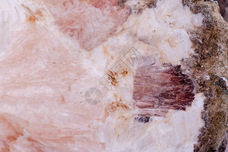白色背景上的宏观矿物石玉髓背景图片