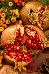 装饰的自然秋季元素石榴和黄色浆果背景图片