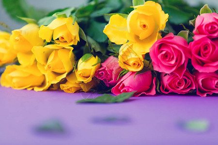 美丽的黄色和粉红玫瑰花朵图片