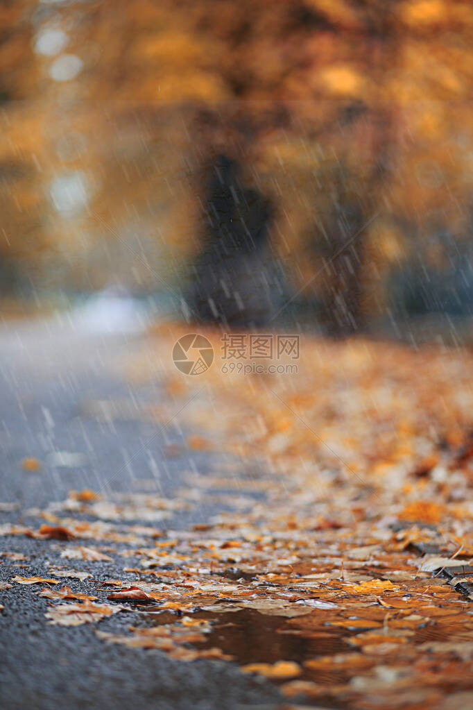 公园的秋天雨图片