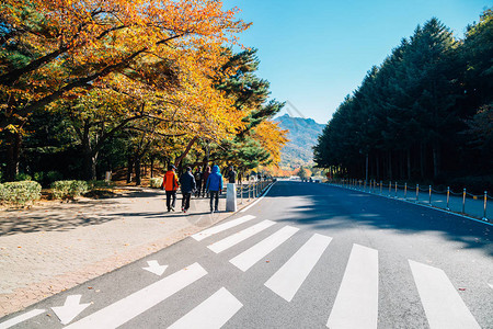 韩国首尔大公园秋枫树街图片