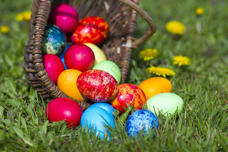 复活节快乐篮子里的彩蛋图片