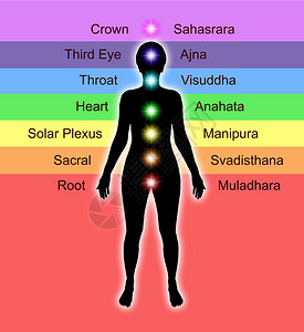 显示人类查克拉及其公认名称和颜色位置的简单图示Ch图片