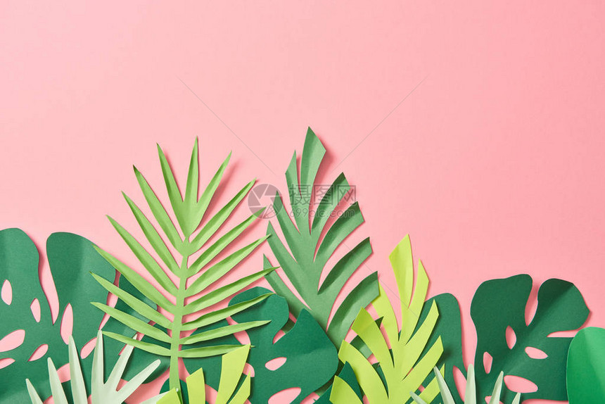 粉红背景的绿色棕榈叶顶部视图图片