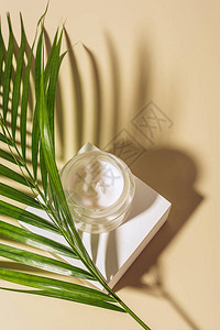 近距离观看玻璃罐中湿润的奶油霜棕榈叶图片