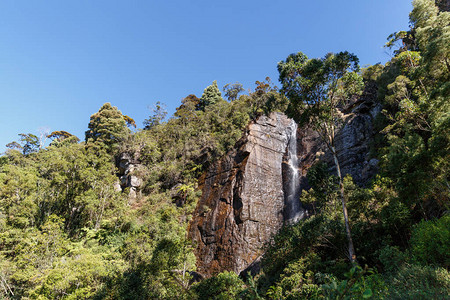 岩石山斯里兰卡霍顿平原上的和绿色植图片