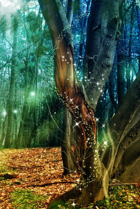 奇幻童话尘埃魔法森林老树图片