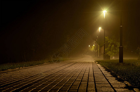 夜间公园灯杆照亮的铺好的道路图片