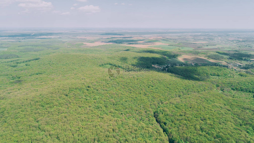 森林鸟瞰图绿树的航空摄影自然景观旅行图片