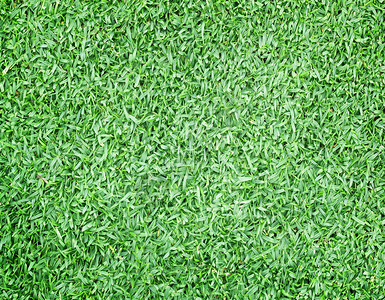 草坪绿色高尔夫抽象纹理背景自然图片