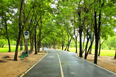 绿色城市公园图片