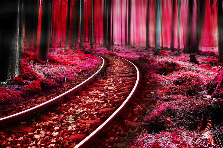 神奇童话森林中的神奇铁路图片