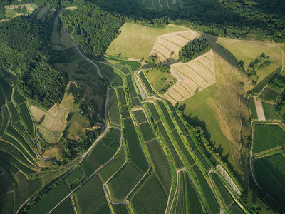 欧洲美丽的农田和绿色山丘的空图片