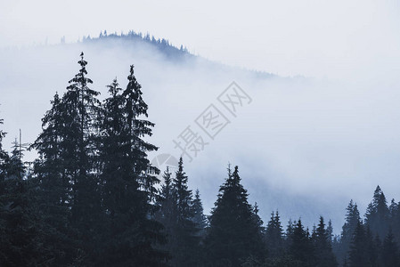 迷雾的地貌与山岳和森林以时长古图片