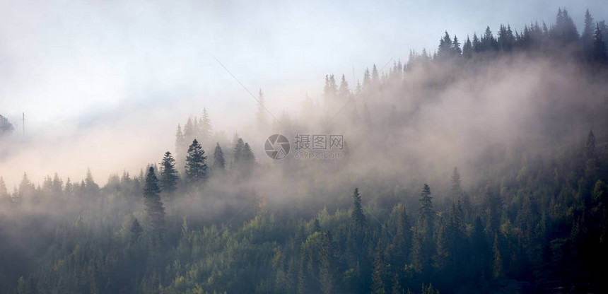 晨雾笼罩山林图片