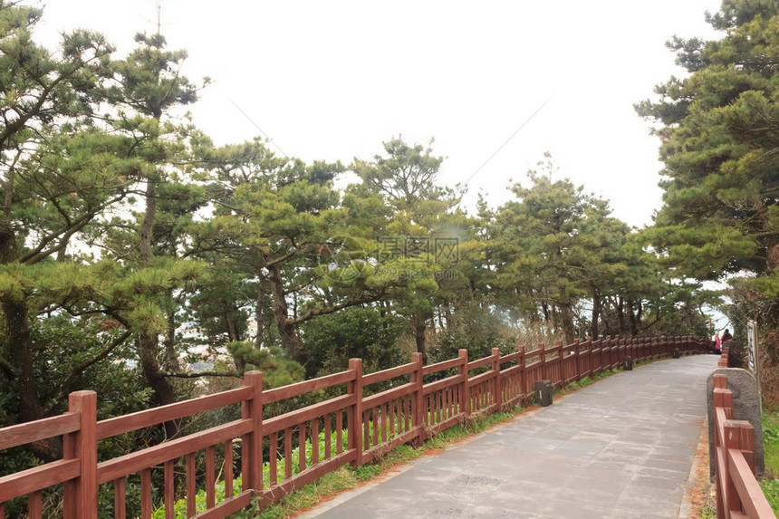 在韩国济州岛观光的走道图片