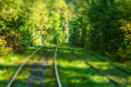 神奇的秋天森林电车路径倾斜移位效果照片图片