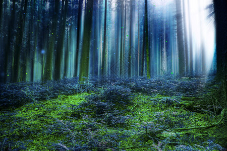 蓝魔法童话森林图片