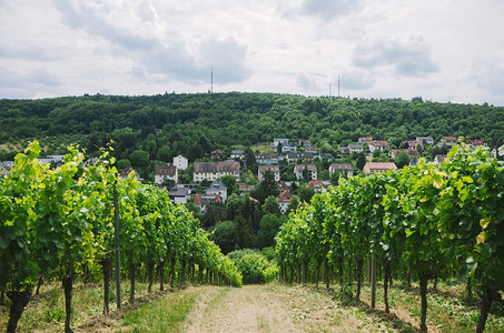 德国Wurzburg村图片