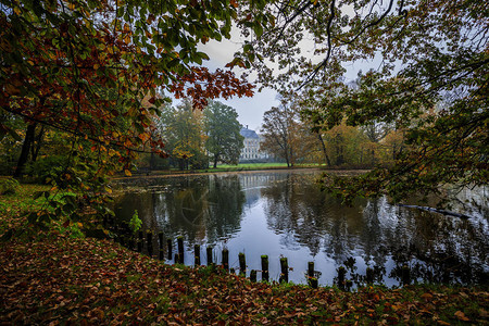 波兰Pszczzyna的秋天公园池塘图片