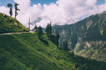 在风景山印度喜马拉雅山罗坦山口的美丽树木和图片