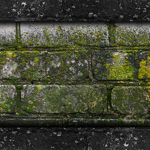 苔藓老绿墙石纹模具灰色纹理背景岩砖木耳图片