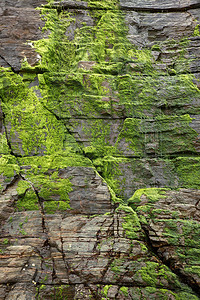 西班牙悬崖上的绿色苔藓背景图片