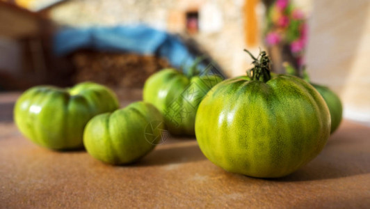 西班牙农场的绿色西红柿图片