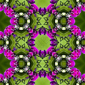 紫色和绿色花形几何形态背景摘要以紫色图片