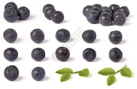 各种野生蓝莓越橘和白色上的绿叶背景图片