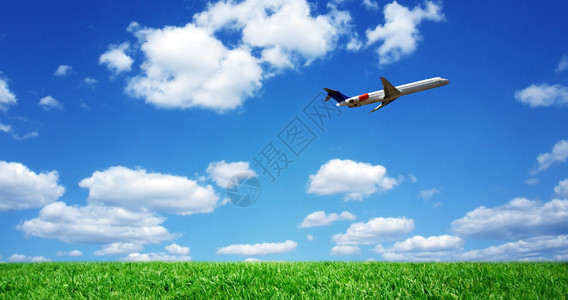 草地上空的飞机图片