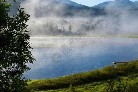 湖边的晨雾图片