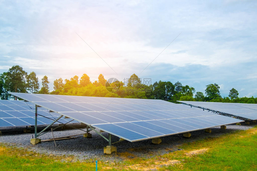 用于可再生能源或电力的光伏或太阳能电池板太阳能电池板将太阳图片