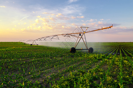 农业灌溉系统在阳光明媚的夏日图片