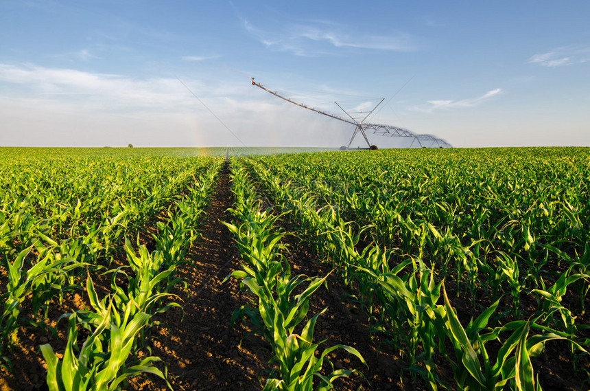 农业灌溉系统在阳光明媚的夏日图片