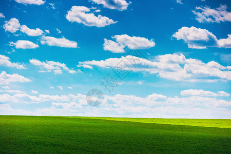 绿色的田野和蓝天白云图片
