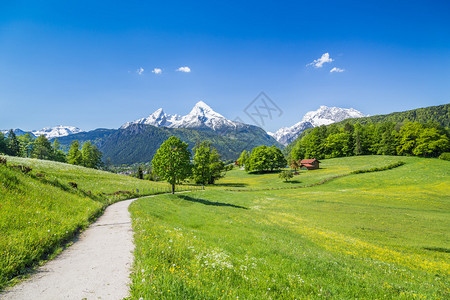 德国巴伐利亚公园Berchtesgadener高清图片