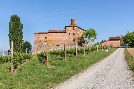 意大利北部皮埃蒙特的绿葡萄园和古图片