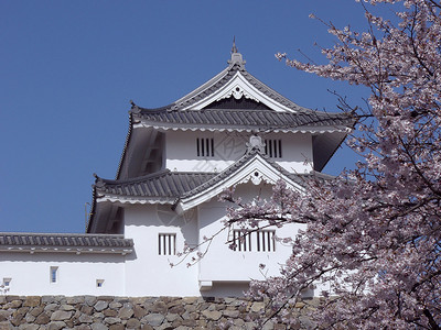 春间日本城堡在亚马纳西省Kofu的日本城堡图片
