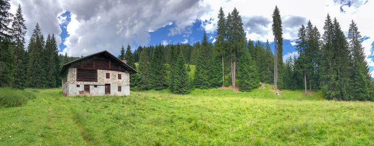 阿尔卑斯山房屋和冷杉树的全景背景图片