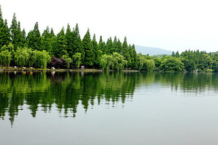 绿树和河流水中倒影图片