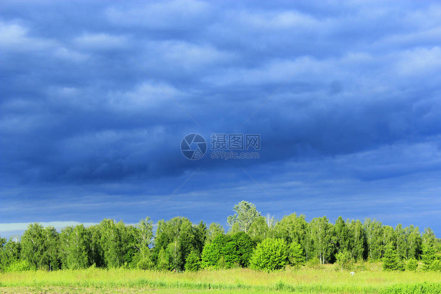 森林和草地下乌云密布的风景图片