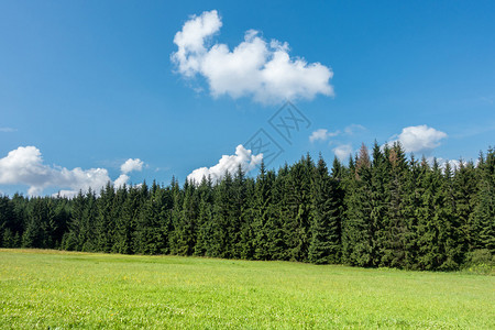 大自然中惊人的夏日农村有草原森林和图片