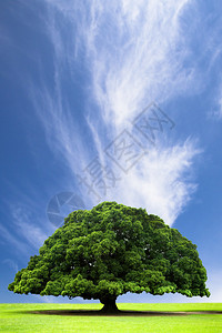 春天和夏月的风景山背景图片