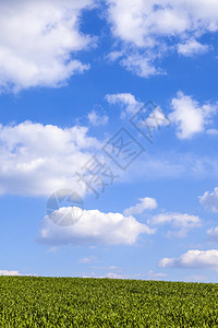 蓝色多云天空的绿色田野图案图片